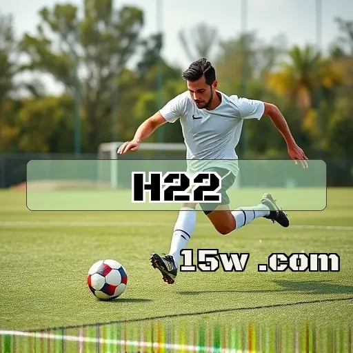 h22.com VIP